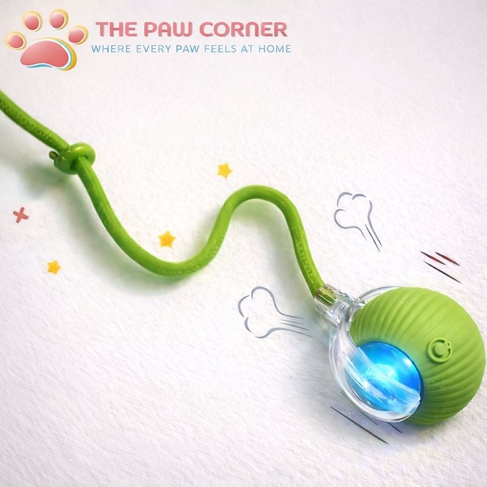 Rechargeable Interactive Cat & Dog Rolling Ball with Tail