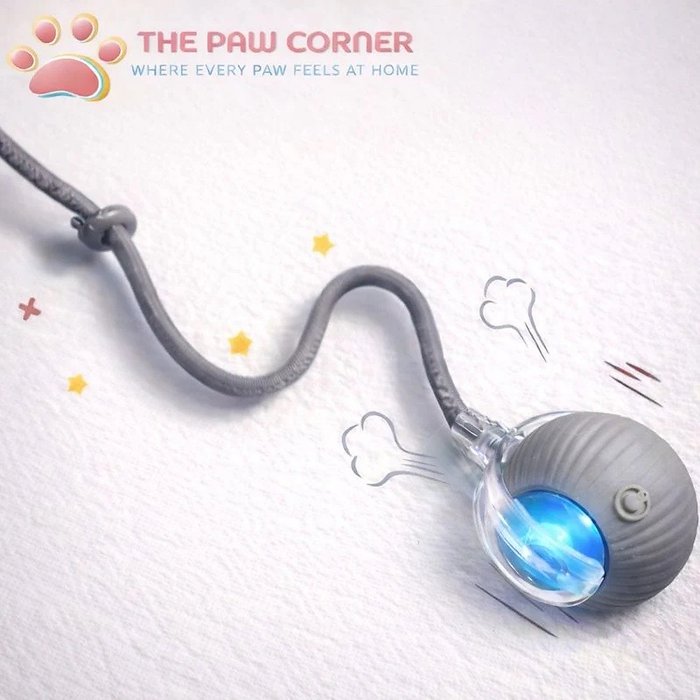 Rechargeable Interactive Cat & Dog Rolling Ball with Tail