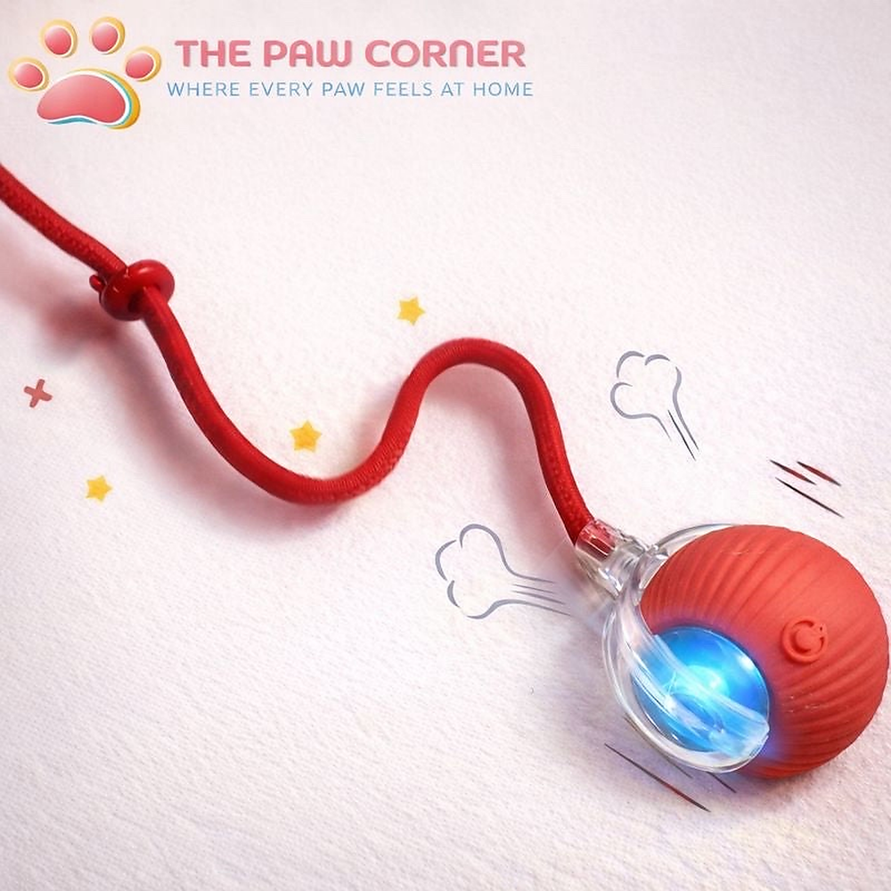 Rechargeable Interactive Cat & Dog Rolling Ball with Tail